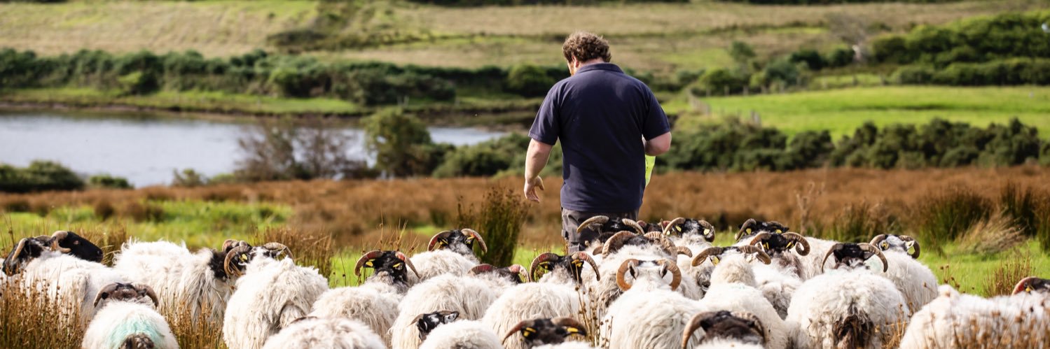 IFJ Picture Desk banner