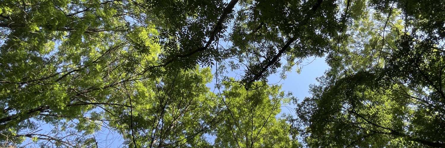 Oliver Vergés Pons banner