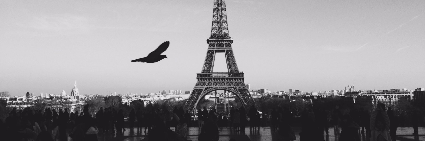 PaUlYoAN91's profile banner image