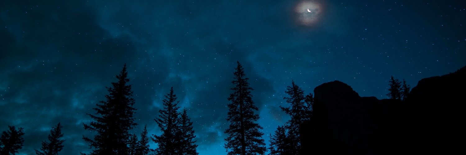 Scott banner