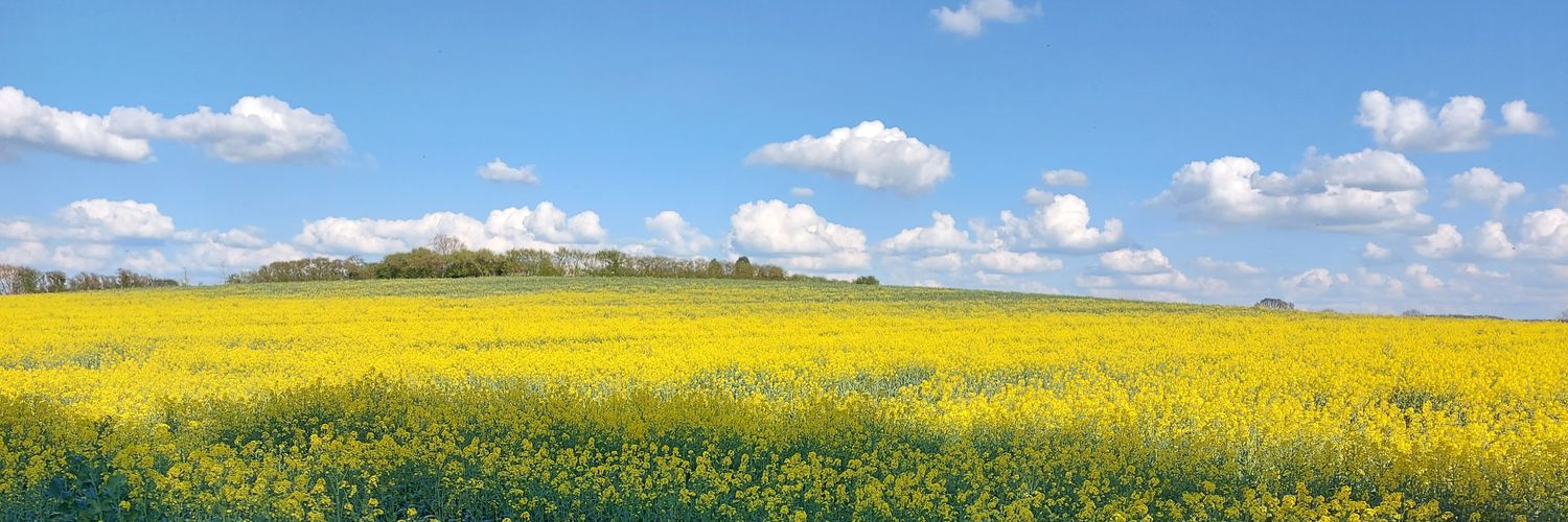 Dmitri Nepogodiev banner