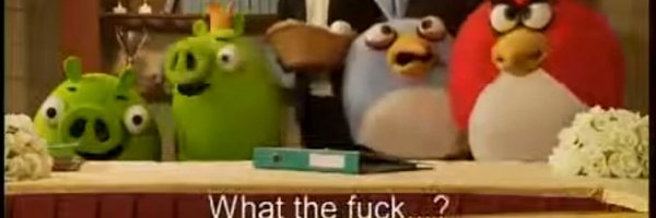 aldobird587 Profile Banner