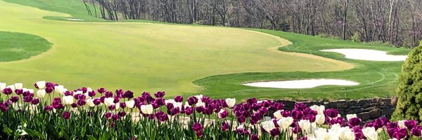 KSUTURF Profile Banner