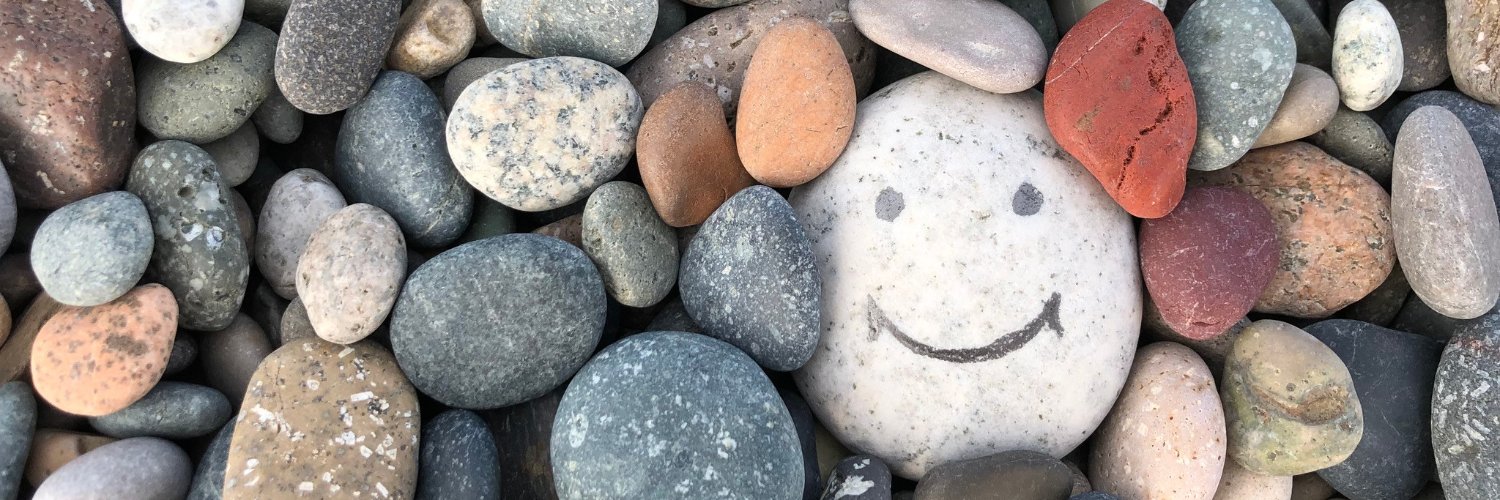 Pebble Autism banner