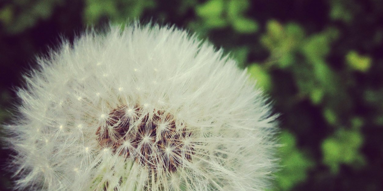 Lizz_Shipston's profile banner image