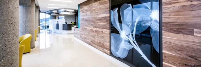 UCSF Heart & Vascular Care banner