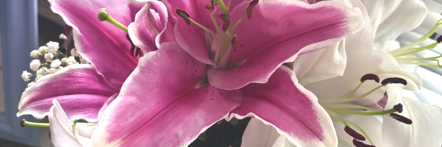 mooninix's profile banner image