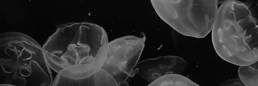 UUKII_II's profile banner image