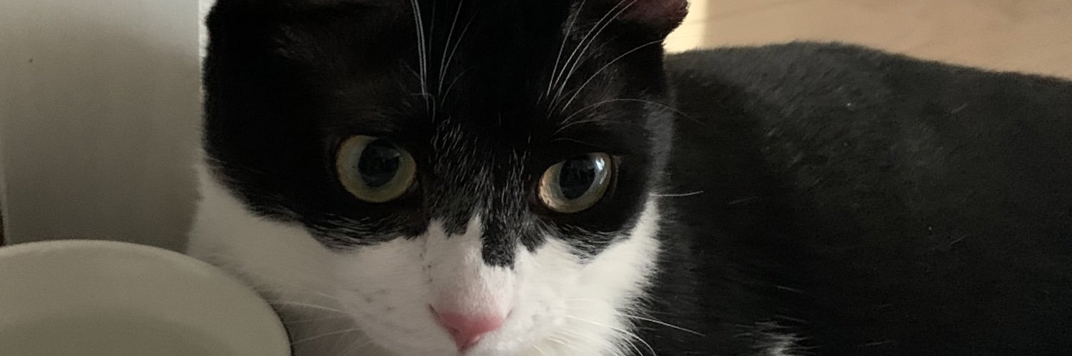 후구후구 뇽오 banner