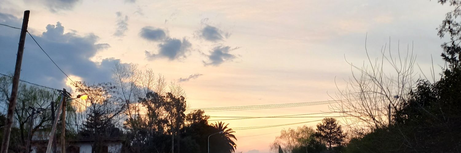 vickystortii's profile banner image