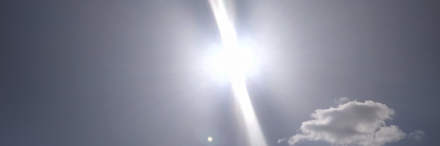 SraPollastre's profile banner image