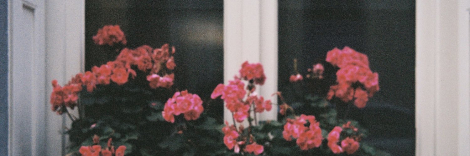 niwneil's profile banner image