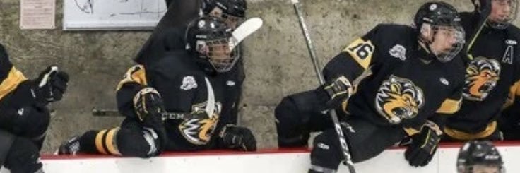 PCDFHLLions's profile banner image
