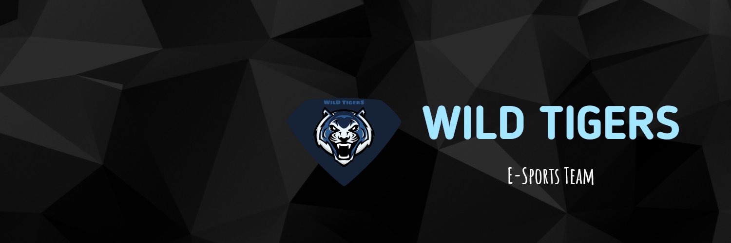 Wild Tigers banner