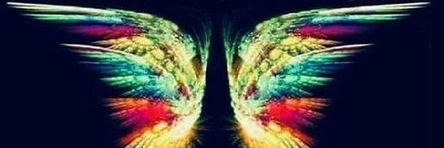 sidsteewt's profile banner image