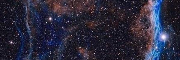 tbear1650 Profile Banner