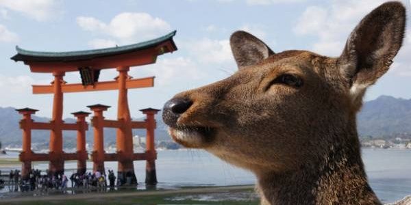 ju_check's profile banner image