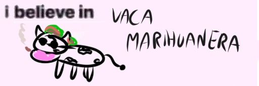 vochizzz's profile banner image