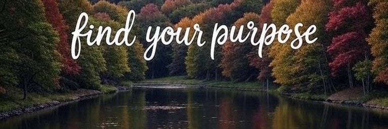 Twitter banner for @ezer4u