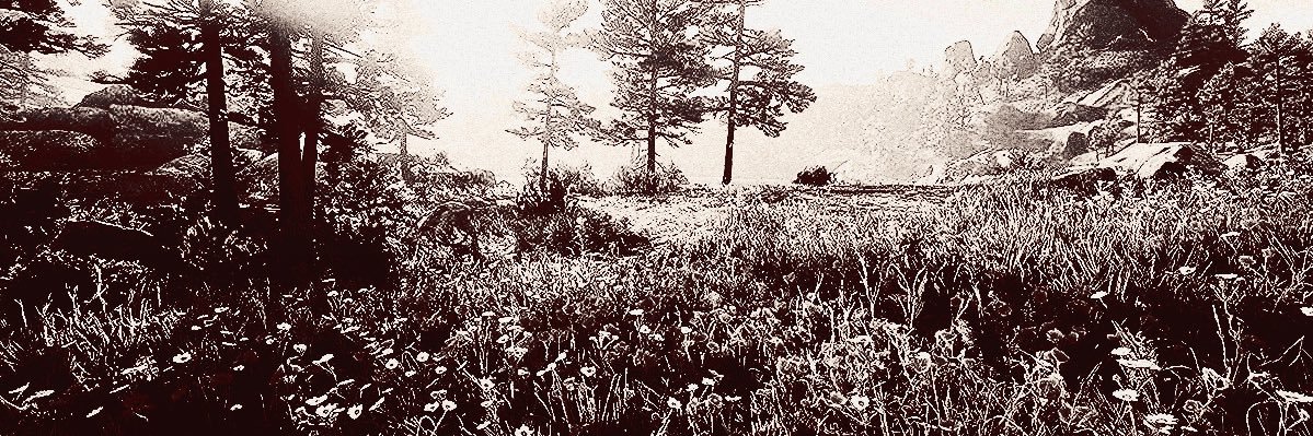 ‍ ‍ ‍ ‍ * cruel world . banner