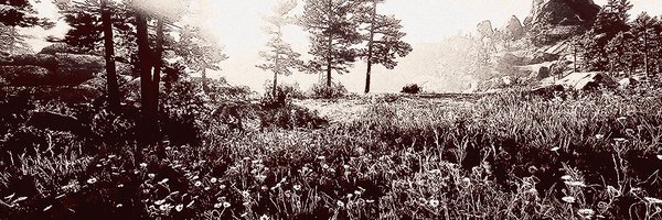 VANDERLlES Profile Banner