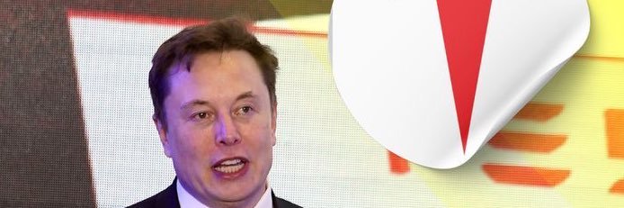 Fans of Elon Musk banner