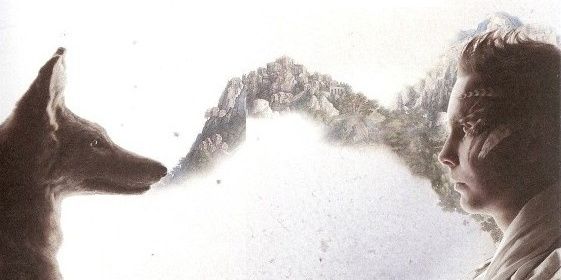 farfugl's profile banner image
