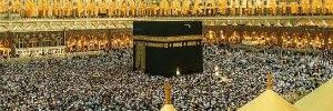 vis banner