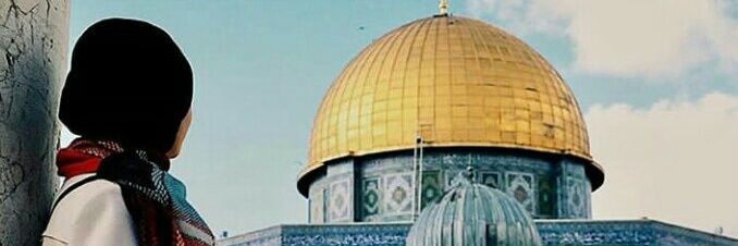 mariam_MA33's profile banner image
