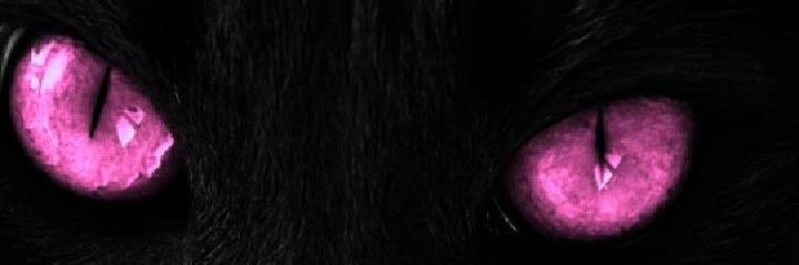 swit_6000's profile banner image