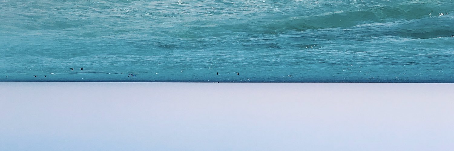 mariamateoscc's profile banner image
