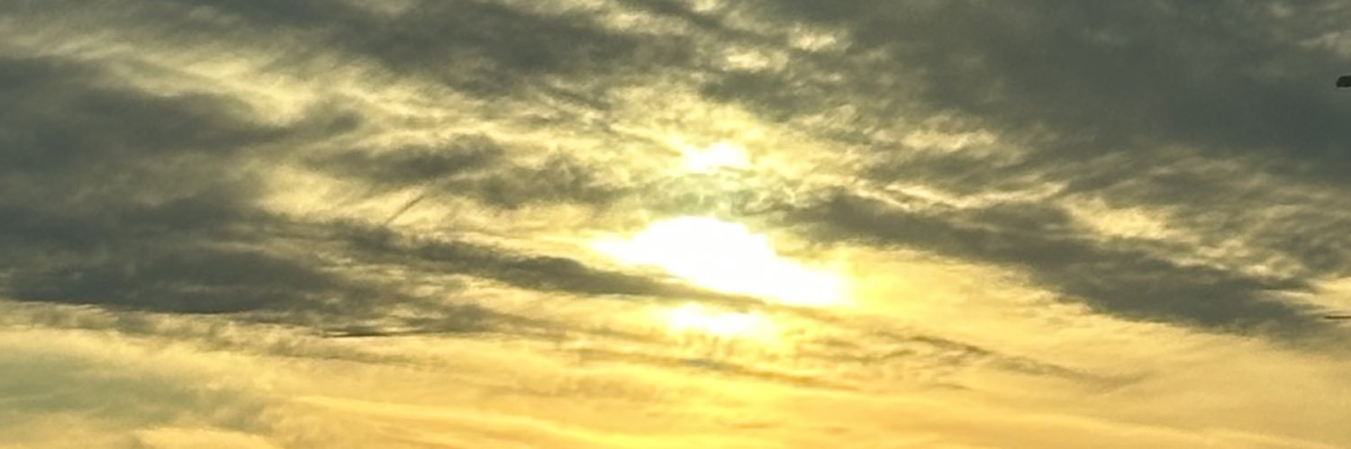 bisxualgnd's profile banner image