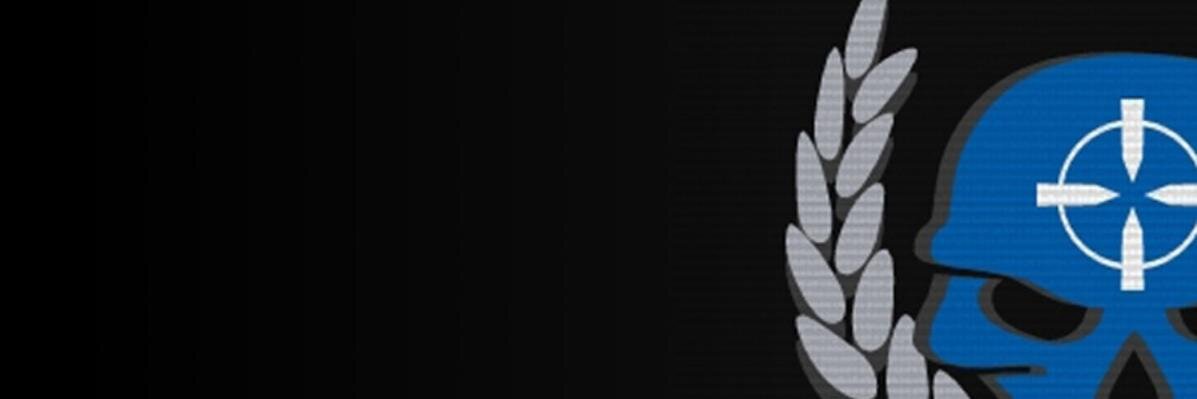 TheJunoFox's profile banner image