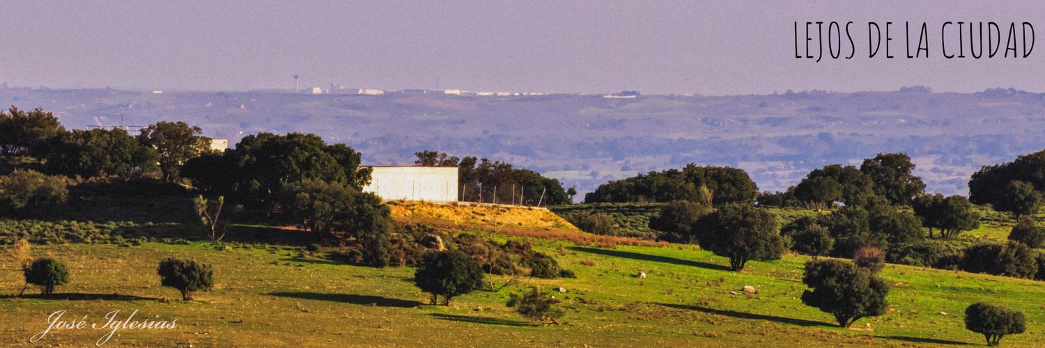 peponp's profile banner image
