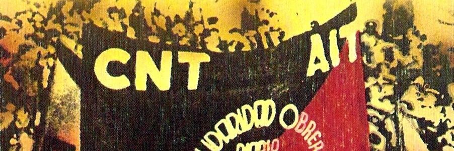 Pro AIT banner