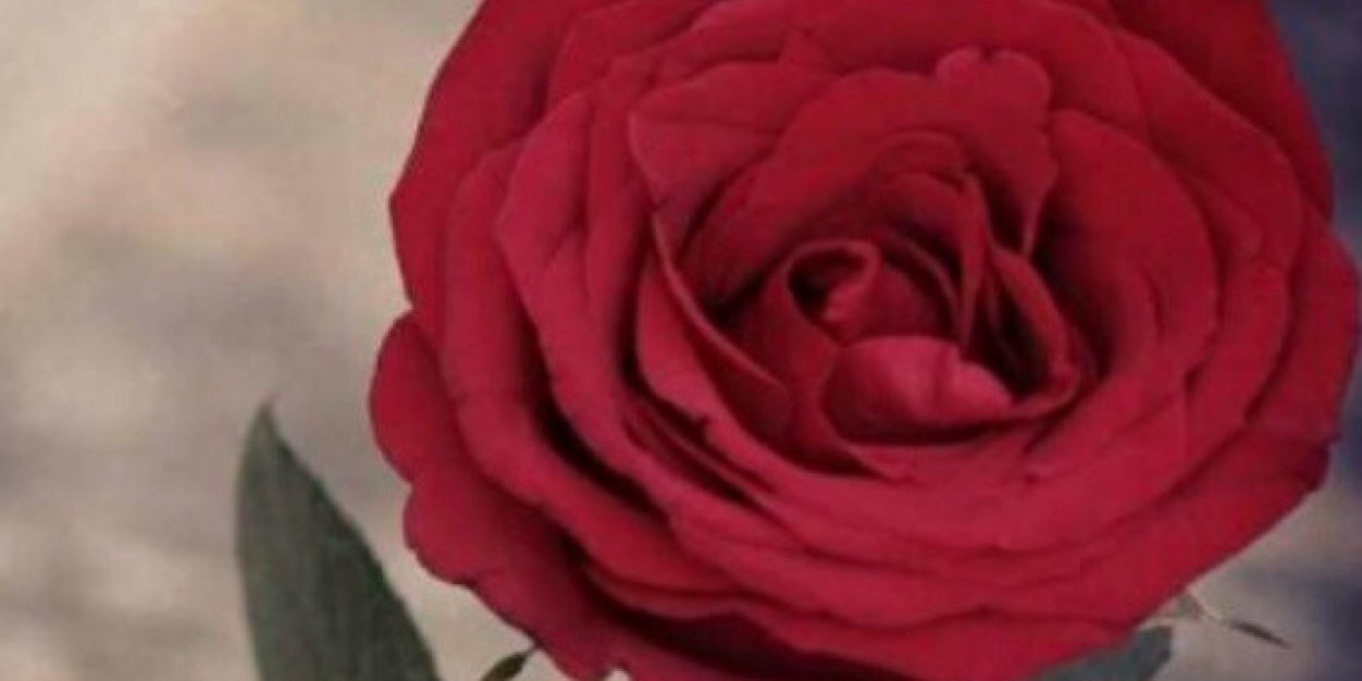 sameery0o0o's profile banner image