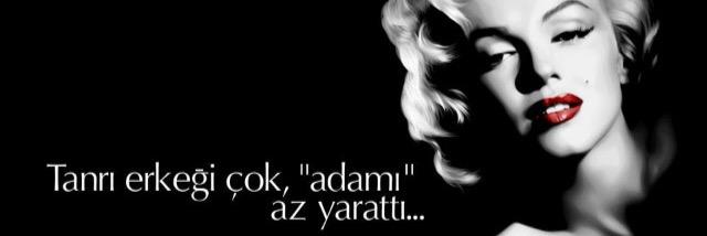 ayln banner