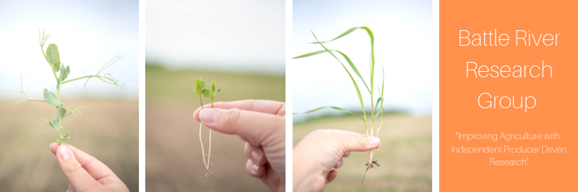 Battle River Research Group banner