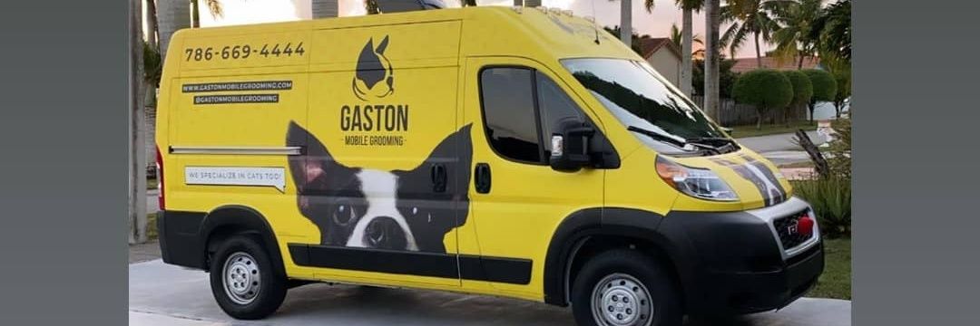 gastonGrooming's profile banner image