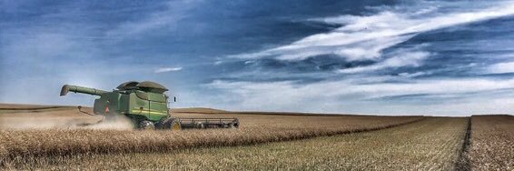 Kelli Burnett banner