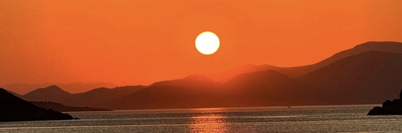 berenicebbbbbbb's profile banner image