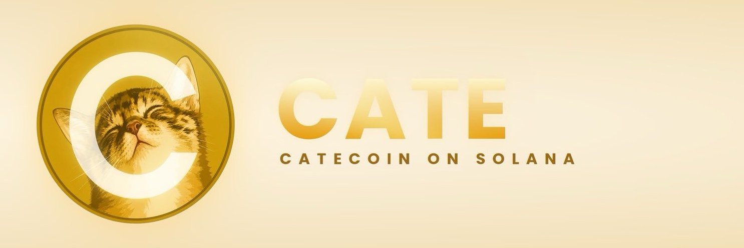Cate_CoinSol's profile banner image