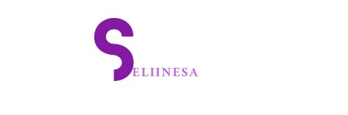 seliinesa's profile banner image