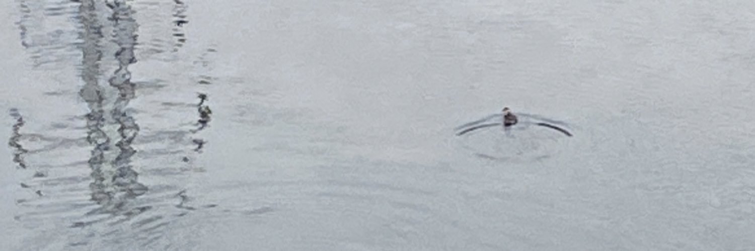 Shawn19s's profile banner image