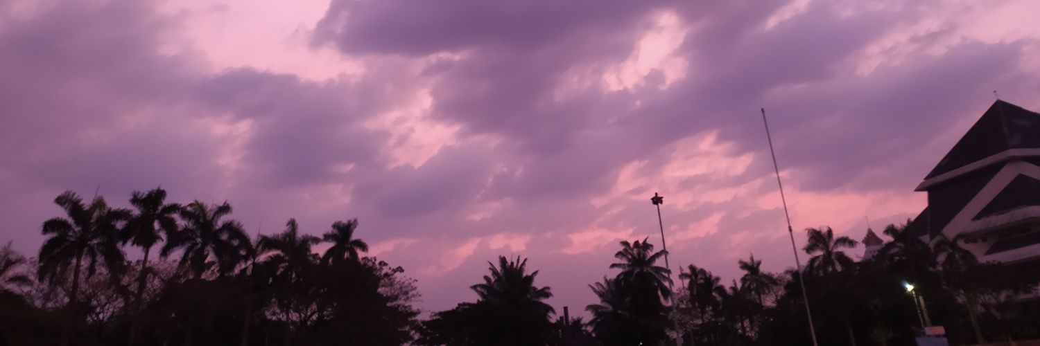 ninakrz's profile banner image