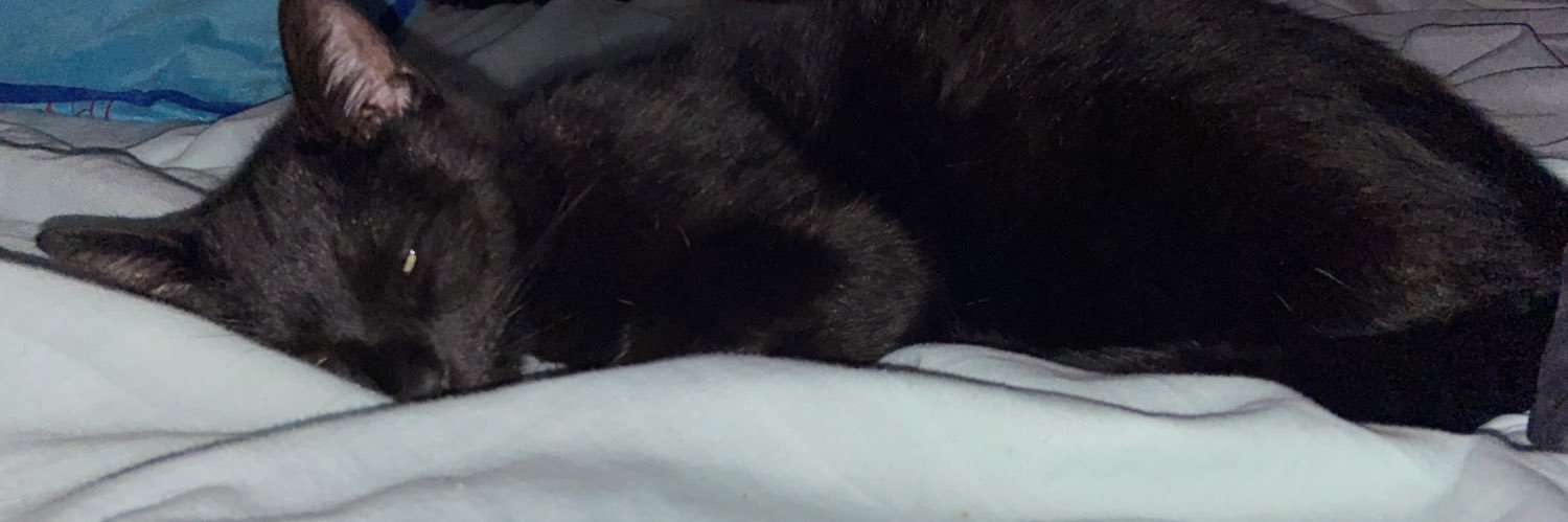 MathiasXoXo's profile banner image