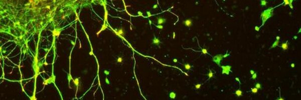 HGVentures Profile Banner