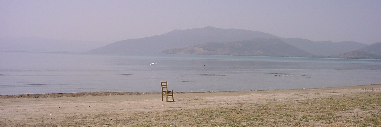 Biagio LaRosa banner