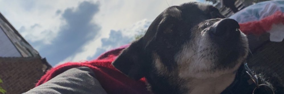 GeorginaH_X2's profile banner image