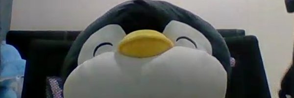 MCXtremer Profile Banner